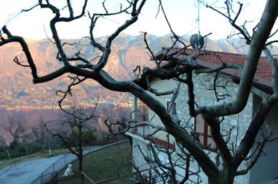Villa Panoramica