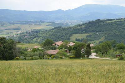 Agriturismo Terra Selvatica