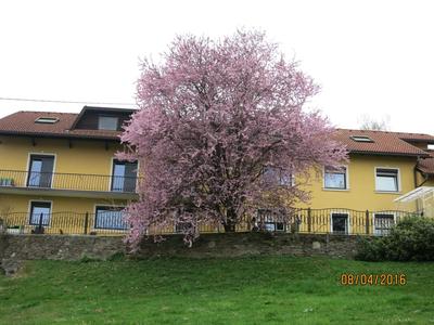 Ferienwohnungen Kremsbrucker