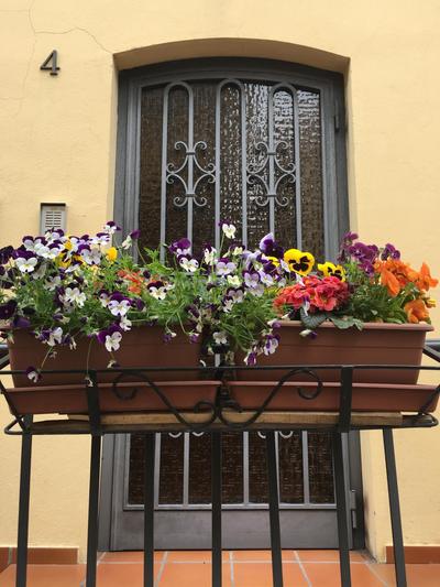 Casa Zaira