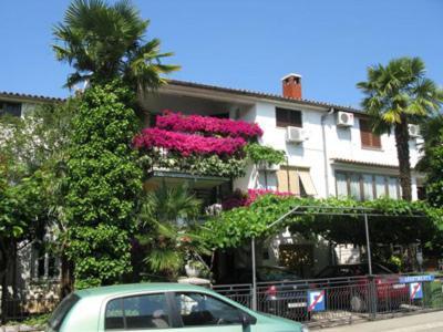 Apartments Timi