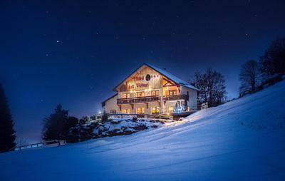 Logis Hôtel Le Vétiné
