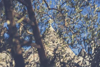 Trullo del Sorriso