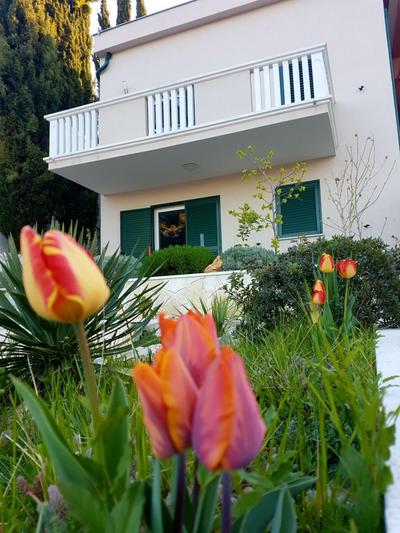 Cro Behar 2 Apartments