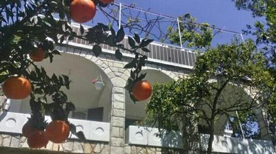House Orange Apartments