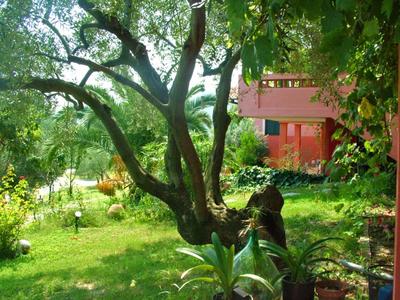 Kopana Resort