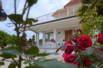 Guesthouse Holiday Formia beach