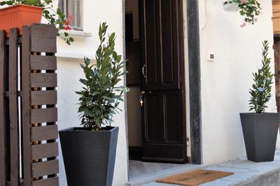 Casa Silve
