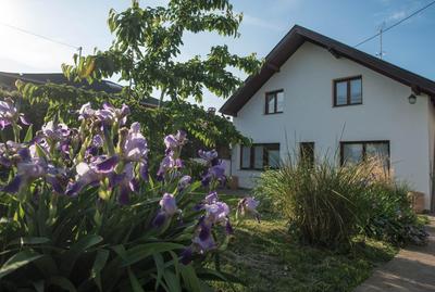 Apartments Osijek by the River