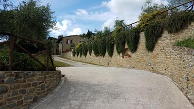 Agriturismo Il Torrino