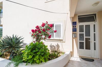 Apartments Pavle