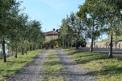Agriturismo Amina, Winery & Hiking
