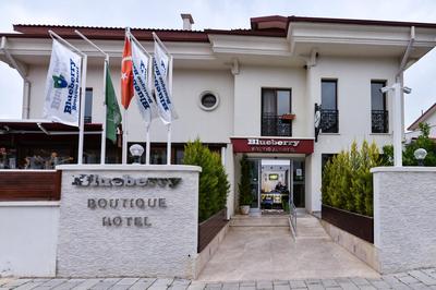 Blueberry Butik Otel - Image 56