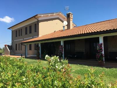 Il Casale degli Ulivi - Ferme, Photo 2