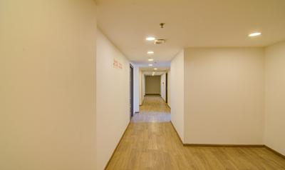 Treebo Apple Tree Express