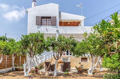 Charming Agia Pelagia Green House