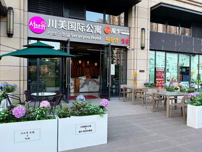 Serveyou Apartment-Free Airport pickup