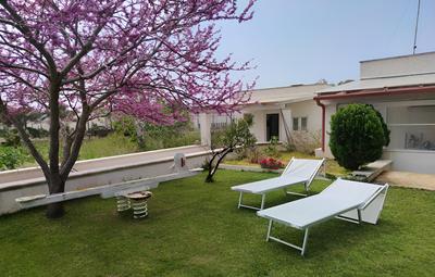 Stella del Sud Guesthouse