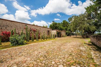 Xani Mui Hotel Boutique