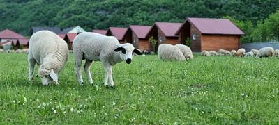 Eko Katun ROSI - oldTower