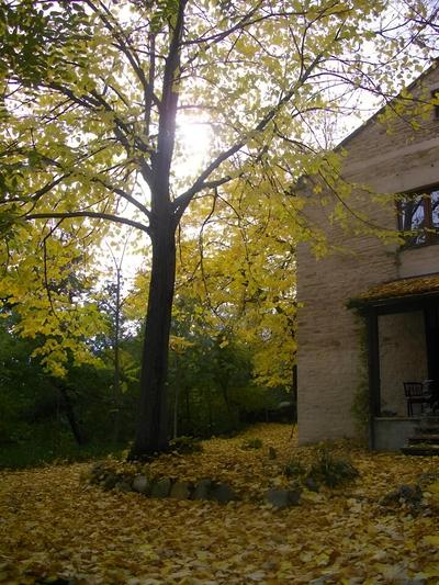 La Casita B&B