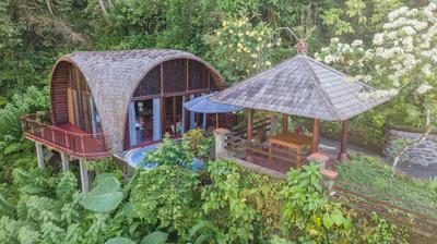 Villa Leona Valley View Ubud