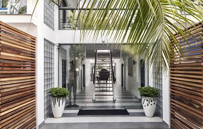 Owl and the Pussycat