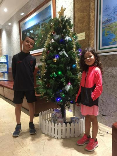 Aroma Cat Ba sea view hotel