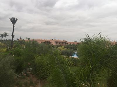 Appartements Jardins de la Palmeraie 3