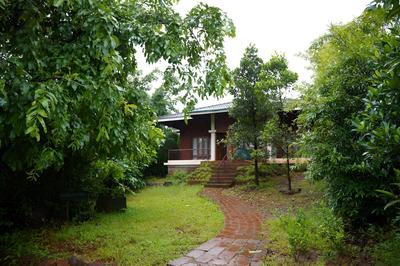 Forest Escapes Koyna