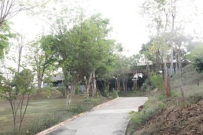 Baan Alisa Bed and Breakfast