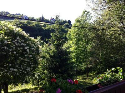 Dalija - Beautiful Nature and View - SA2
