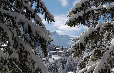 Hotel Astoria Superior