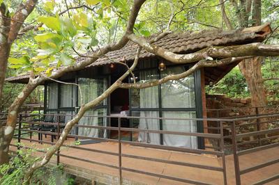 Holistic Stay Eco Resort