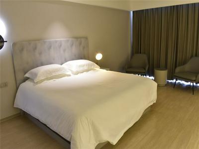 Lhasa Railway Station Magnolia Hotel