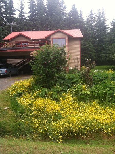Whalesong Bed and Breakfast, Zdjęcie 2