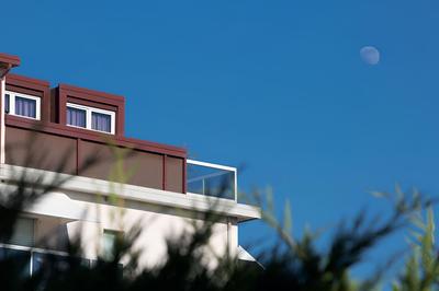 Harvey