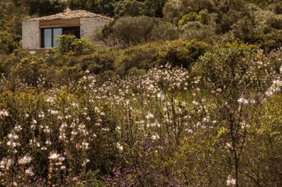 Hôtel Version Maquis Santa Manza