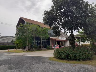 Areeca Mahogany Zone