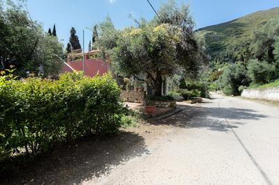 Lilys House