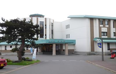 Romantopia, A Landscape of Forest and Stars, The Swan, Hotel of Stars