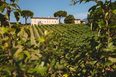 Fattoria Camigliano Wine Estate