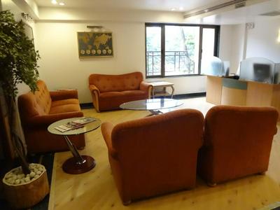 The International by Tunga