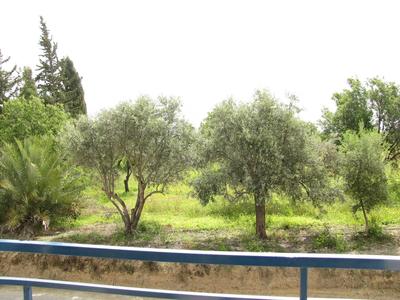 Majestic Webooking Apartments 109