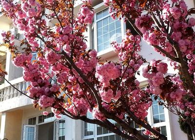 Qingdao Villa Inn Seaside