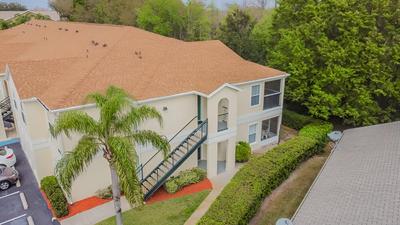 Near Theme Parks! Professional Design, Sleeps 7, Patio, Pool!