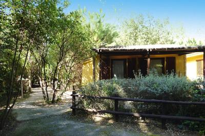 Bungalow in Castiglione Della Pescaia