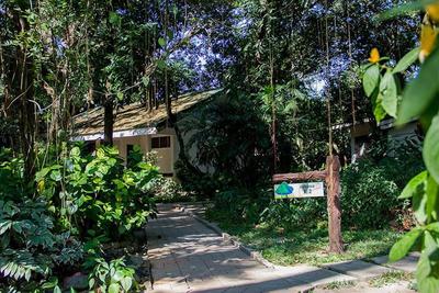 Lisland Rainforest Resort