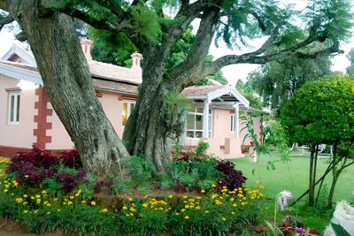 Bella Vista Stay
