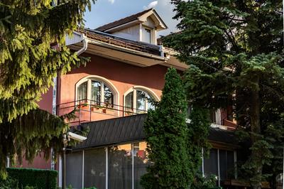 Put Mladih Muslimana 16